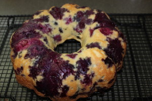 Blueberry-Cake-009-1024x682