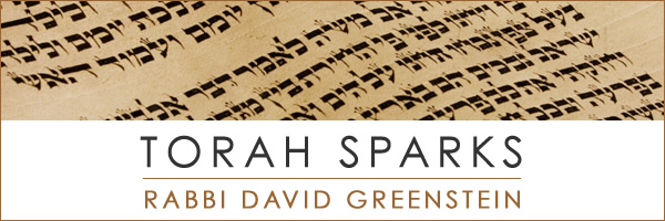 Torah Sparks