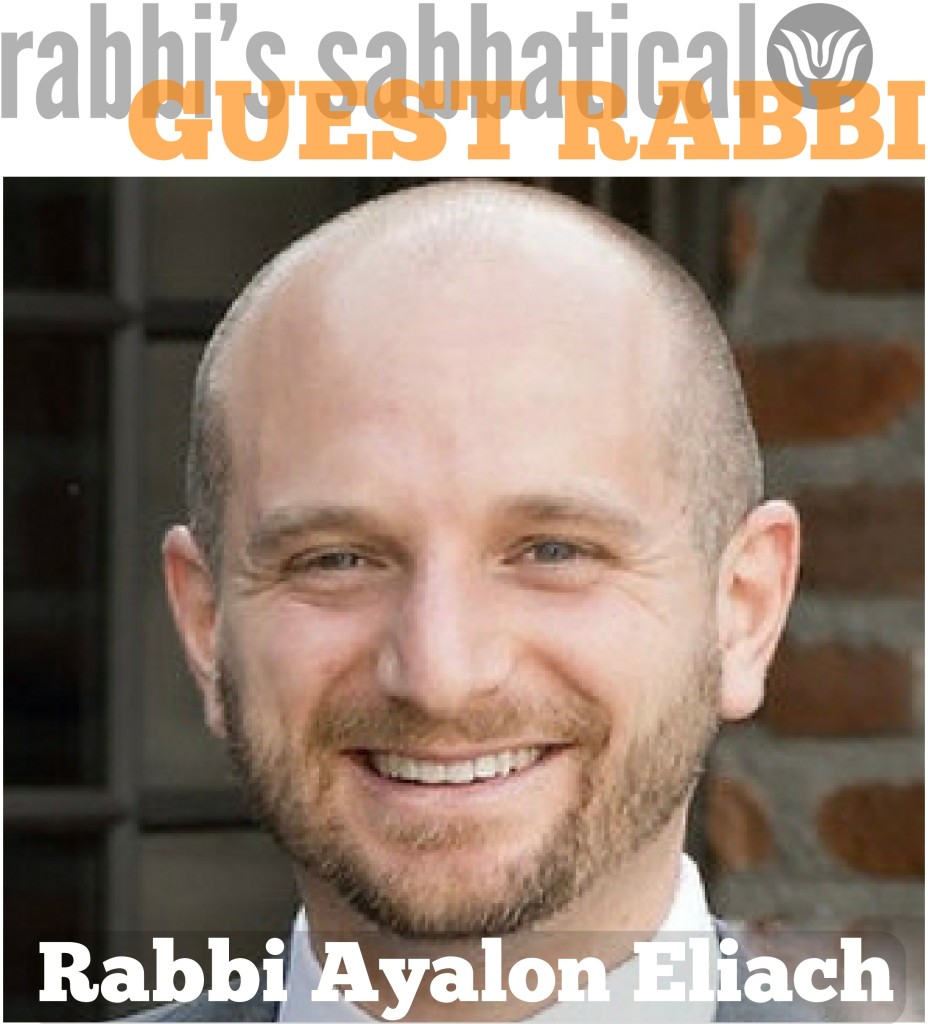 Copy of Rabbi Eliach - MC
